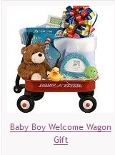 Baby Boy Welcome Wagon Gift Basket