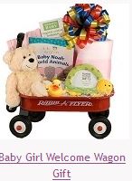 Baby Girl Welcome Gift Basket